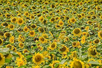 《哈迪斯》发售1周年官方贺图 GSC推出男主粘土人手办